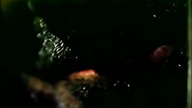 Isabel Mestres sex scene in Parranda