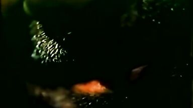 Isabel Mestres sex scene in Parranda