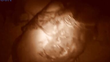 Adriana Davidova sex scenes in Sindrome (2004)