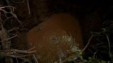 Lauren Ashley Carter sex scene in Jug Face (2013)