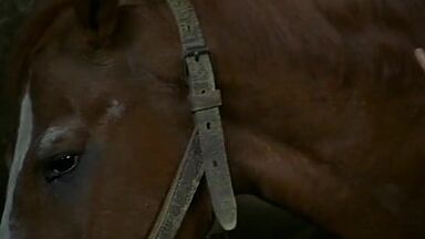 L’iniziazione (1987) best scenes