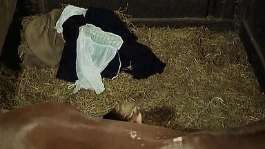 L’iniziazione (1987) best scenes