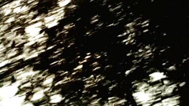 Simone Spoladore sexy scenes in Lavoura Arcaica (2001)