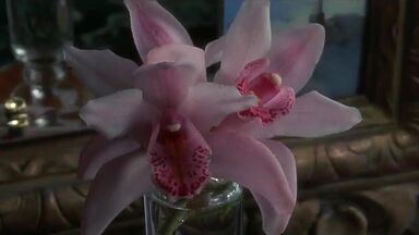 Old guy secuces young girl