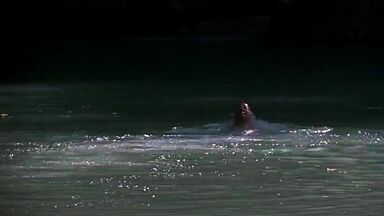 Jennifer Connelly naked in The Hot Spot