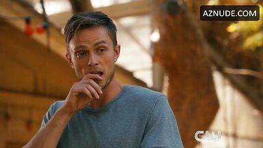 Rachel Bilson posing hot in bikini in The To Do List