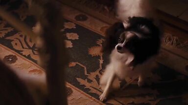 Margot Robbie all naked in Wolf of Wall Street