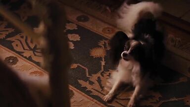 Margot Robbie all naked in Wolf of Wall Street