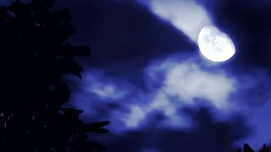 The Cook (2008) best hot scenes