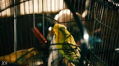 Natalie Dormer sex scene in Rush