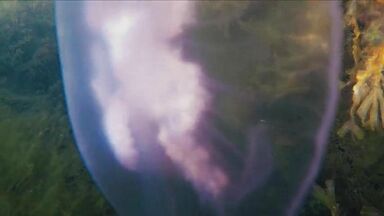 Hot sex scenes near the beach