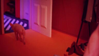 Blonde's happy sex ride