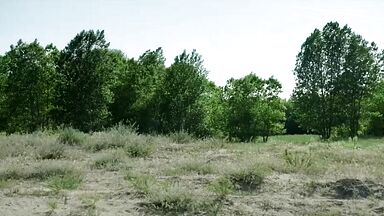 Gabriela Baciu naked in Sea Breeze