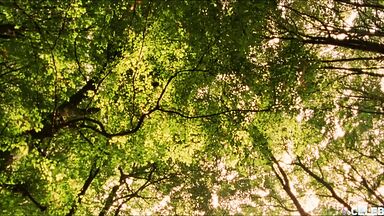 Emily Blunt and Natalie Press lesbic romance in My Summer of Love