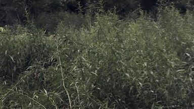 Couple caught fucking