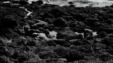 Erotic scene from artistic movie