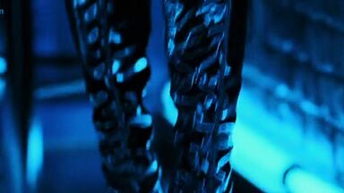 Ashley Scott striping