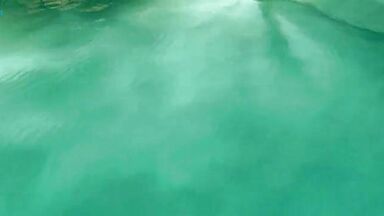 Knight of Cups sexy scenes