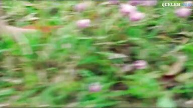 The Smile best scenes