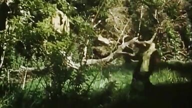 Naked Girl in the Jungle