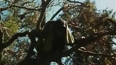 Naked Girl in the Jungle