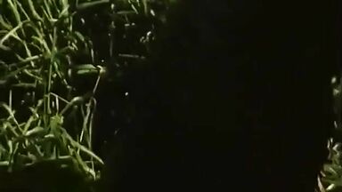 Naked Girl in the Jungle