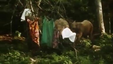 Naked Girl in the Jungle