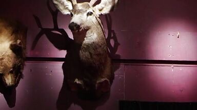 Striper with schoolgirl outfit