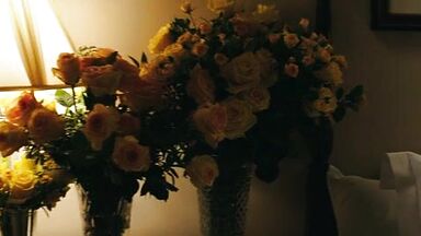 Bryce Dallas Howard sex in Gold