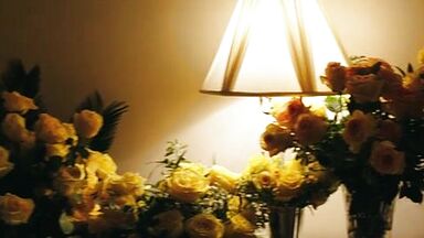 Bryce Dallas Howard sex in Gold