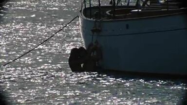 Amber Heard hot in The Rum Diary