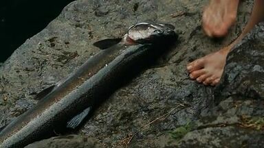 Hot blonde in the water