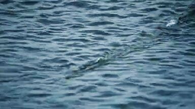 Hot blonde in the water