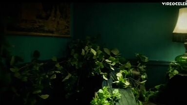 Miller's Girl best scenes