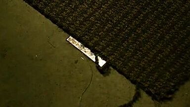 Jennifer Lawrence prisoner in House at the End of the Street