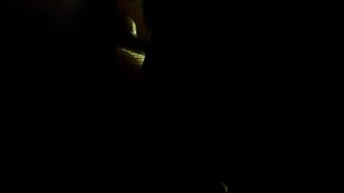 Love with guns and Monica Bellucci