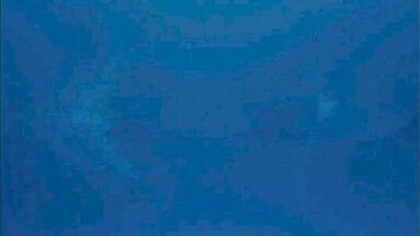 Scarlett Johansson mermaid of the waters