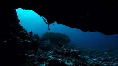 Teresa Palmer sexy in Point Break