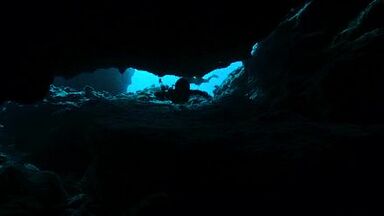 Teresa Palmer sexy in Point Break