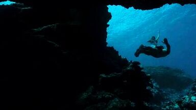 Teresa Palmer sexy in Point Break