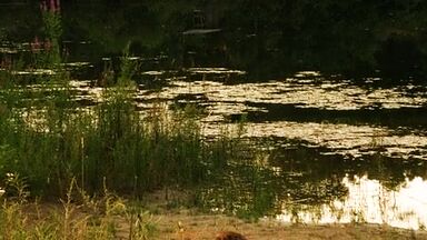 Teresa Palmer sexy in Love and Honor