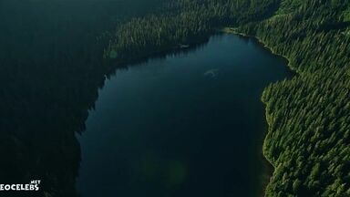 Melissa Barrera sexy in Keep Breathing