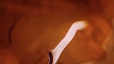 Salma Hayek in Desperado