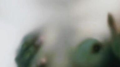 Knock Knock best scenes