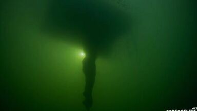 Teresa Palmer sexy in The Clearing  (2023)