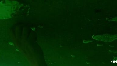 Teresa Palmer sexy in The Clearing  (2023)