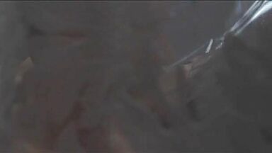 Salma Hayek sexy in Breaking Up (1997)