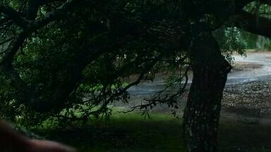 The Choice (2016) best scenes