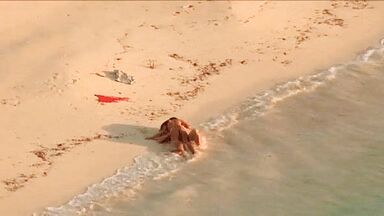 Salma Hayek sex After The Sunset